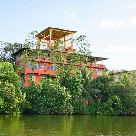 Hotel Madu River Edge Balapitiya Exterior foto